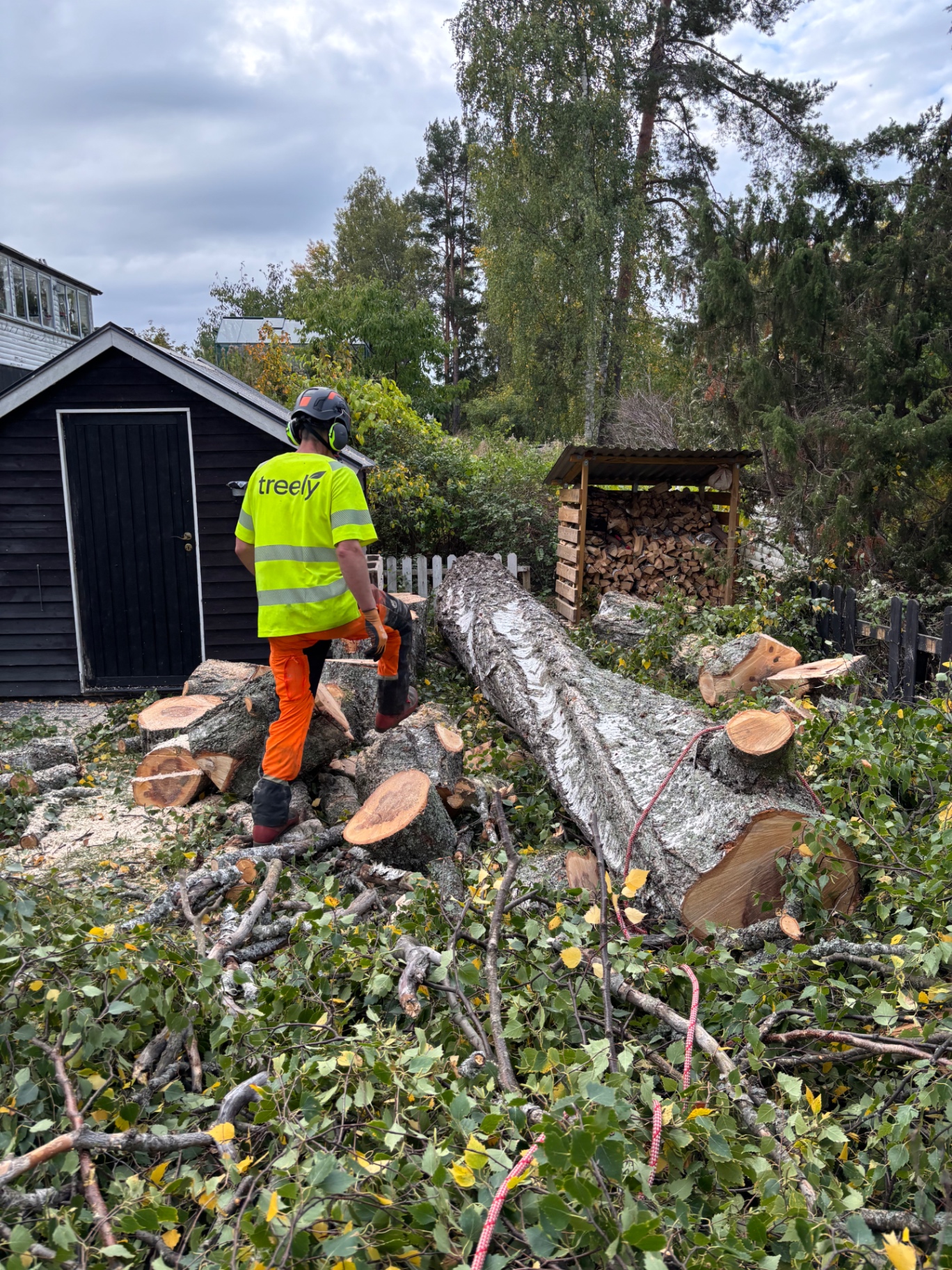 Fälld trädstam på bostadstomt