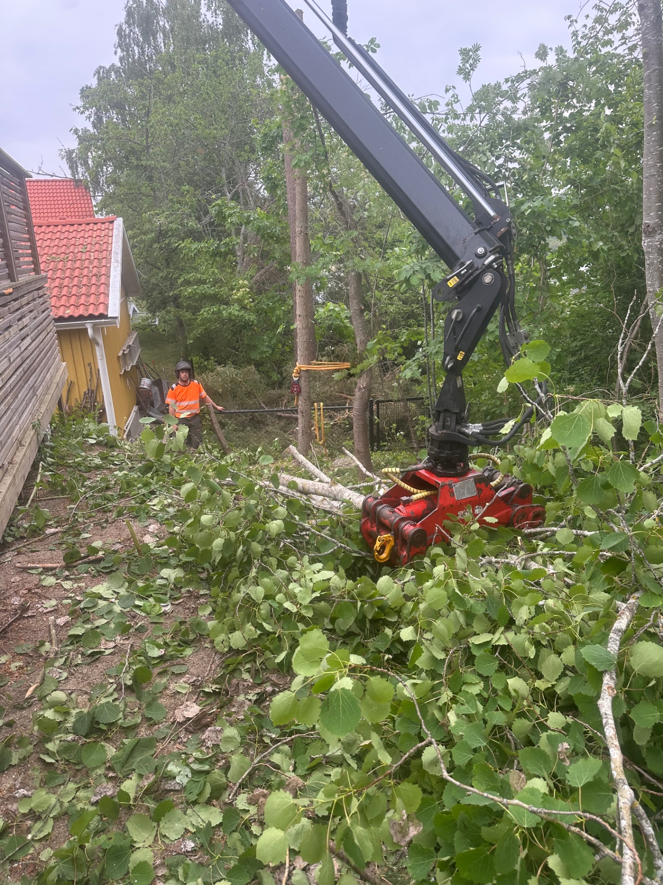 Trädfällning med kranbil på villatomt i Danderyd kommun